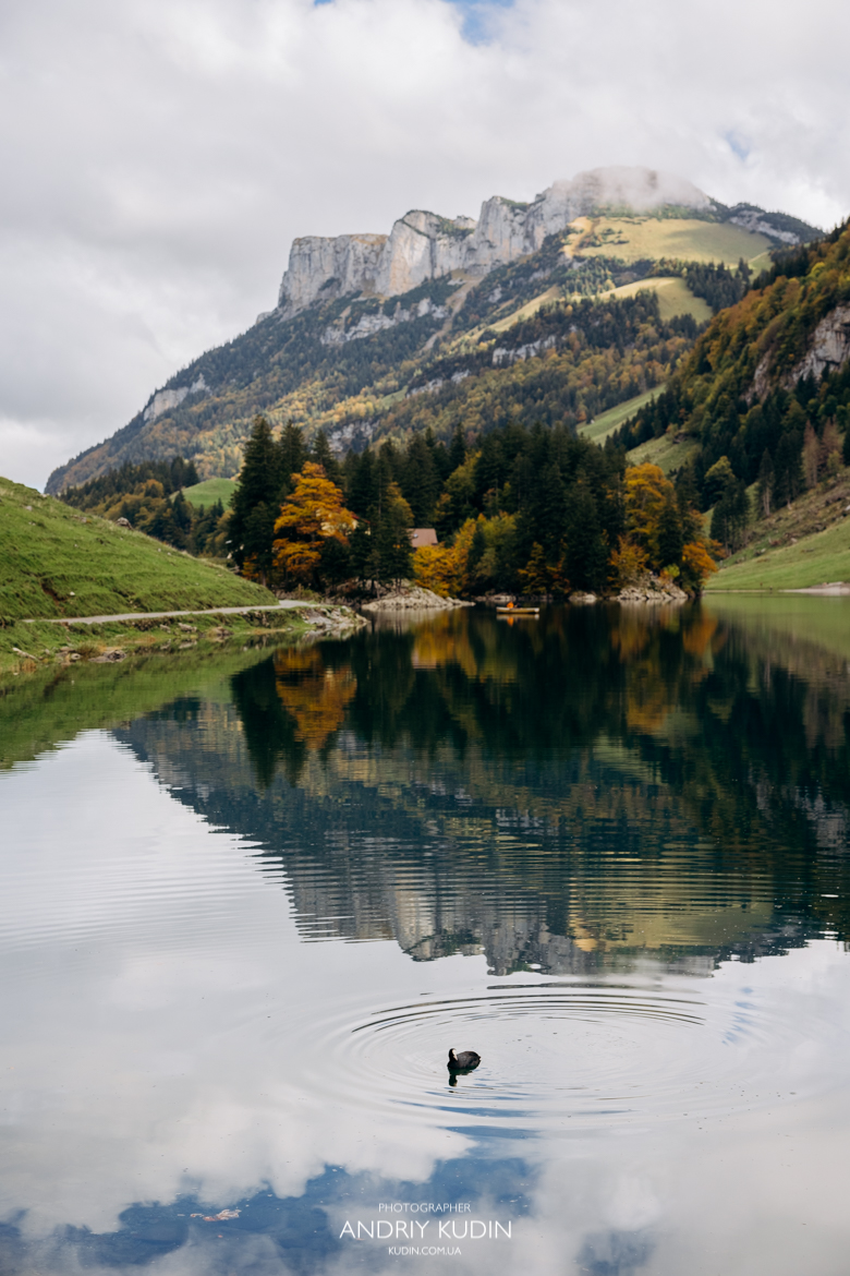Marriage proposal Switzerland at Seealpsee with serene lake and forest views