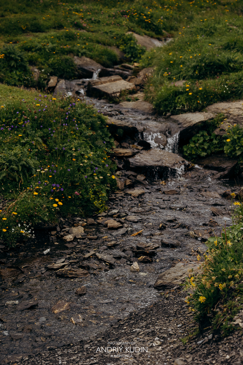 Romantic marriage proposal in Grindelwald with stunning alpine views
