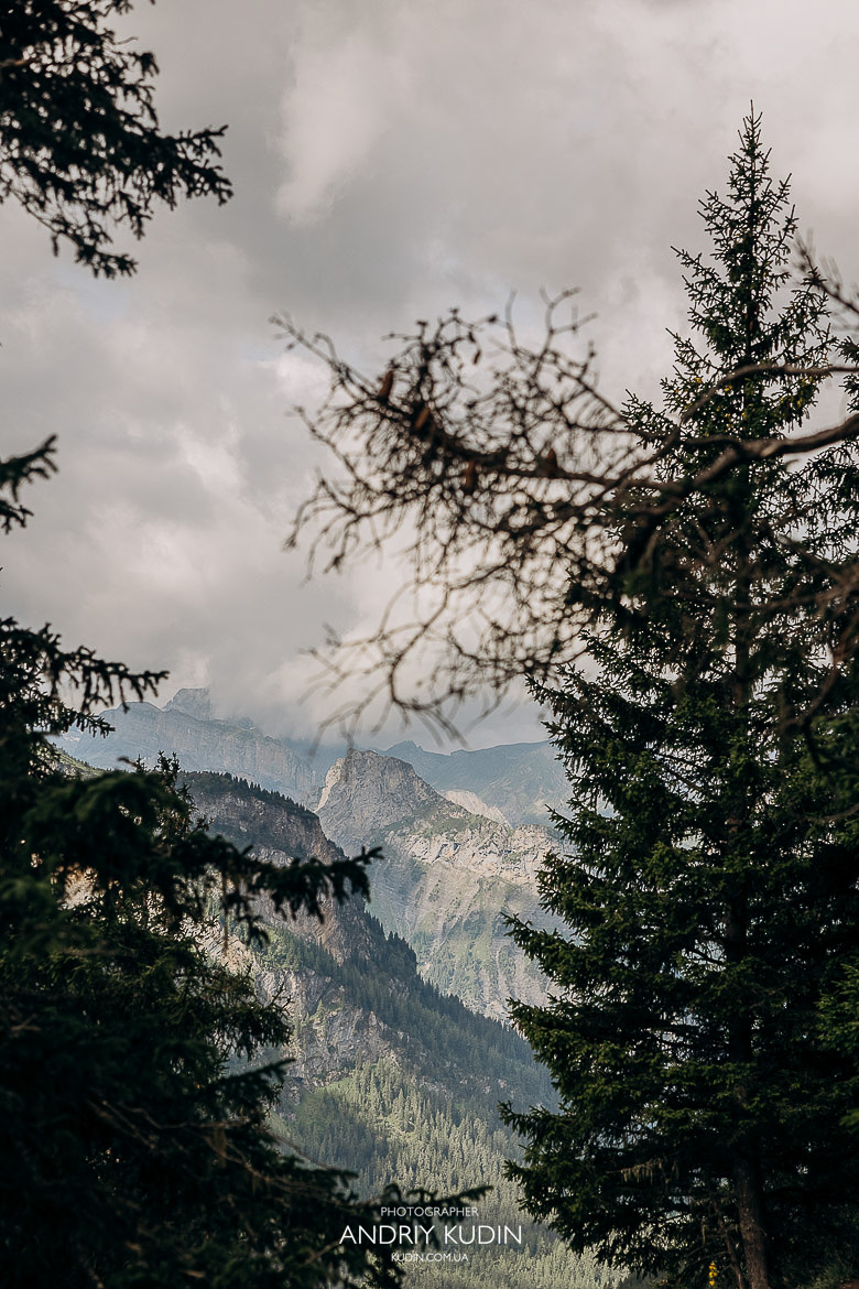 Where to propose in Switzerland!? My favorites places to propose in Switzerland! #proposalphotography #proposalstory #switzerlandproposal #switzerland #switzerlandproposalphotographer #switzerlandlove #engagement #engagementswitzerland #switzerlandengagement #switzerlandengagementphotographer #engagementphotographer #proposalphotographer #preweddinginswitzerland